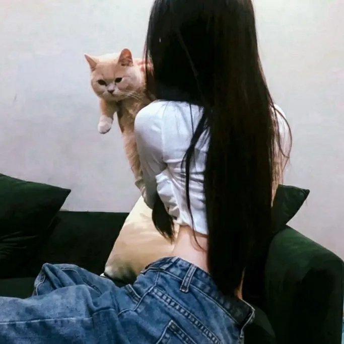 儿女英雄传