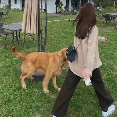 激情家族